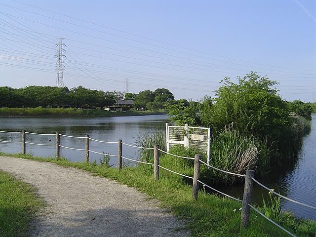 栃木県小山市 大沼親水公園（大沼ため池）